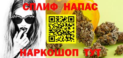 прущие грибы Славянск-на-Кубани