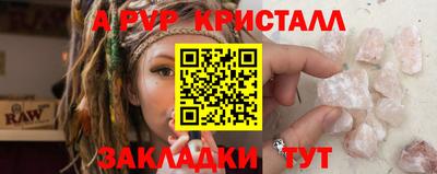 стафф Славгород